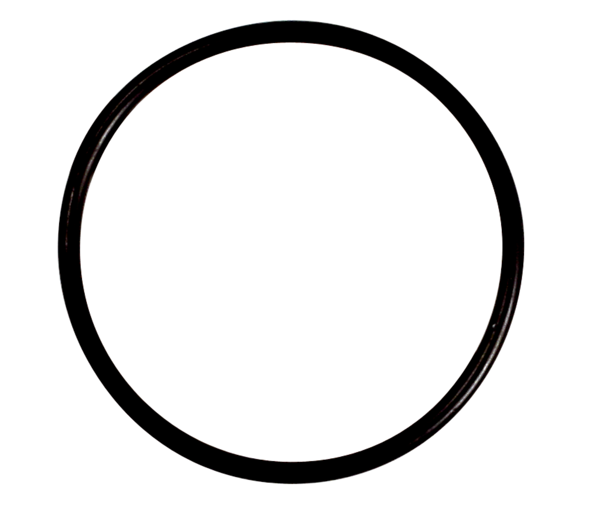 AFRISO O-Ring für Filtertasse VOR 5990 6030